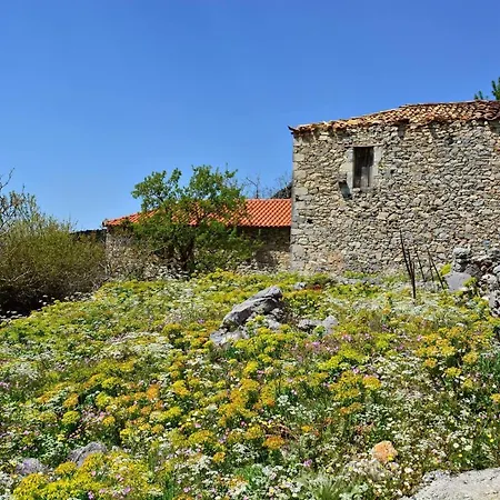 Ilia Mani Villa, Luxury Retreat * Altomira